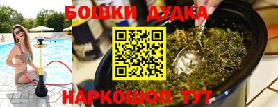дмт Славгород