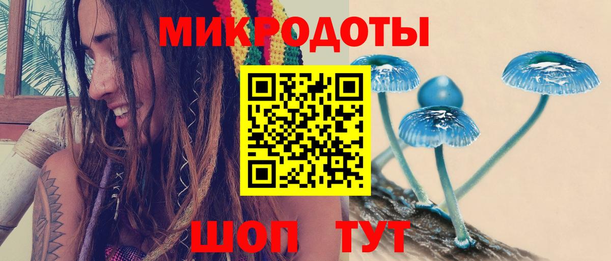 цены   Галлюциногенные грибы Psilocybe  Нурлат  Вход с VPN  Галлюциногенные грибы прущие грибы 