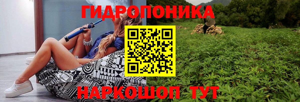 Бошки марихуана MAZAR  Марихуана THC 21%  Шишки марихуана конопля  Нурлат  Вход с VPN  МАРИХУАНА MAZAR 